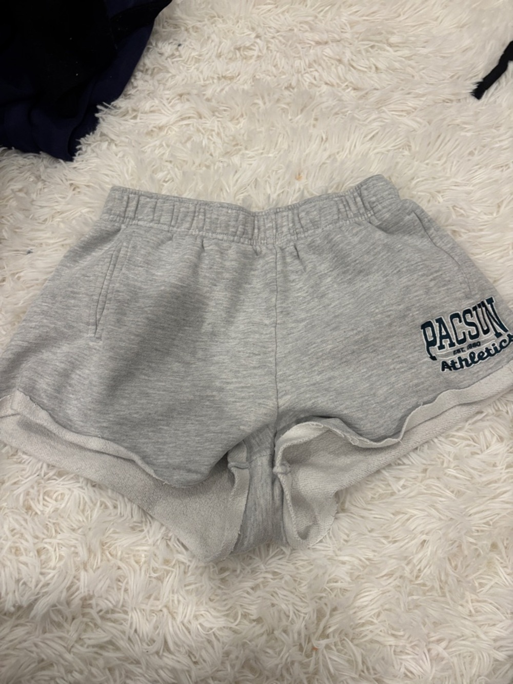 PacSun Light Gray Athletic Lounge Shorts with Side Logo